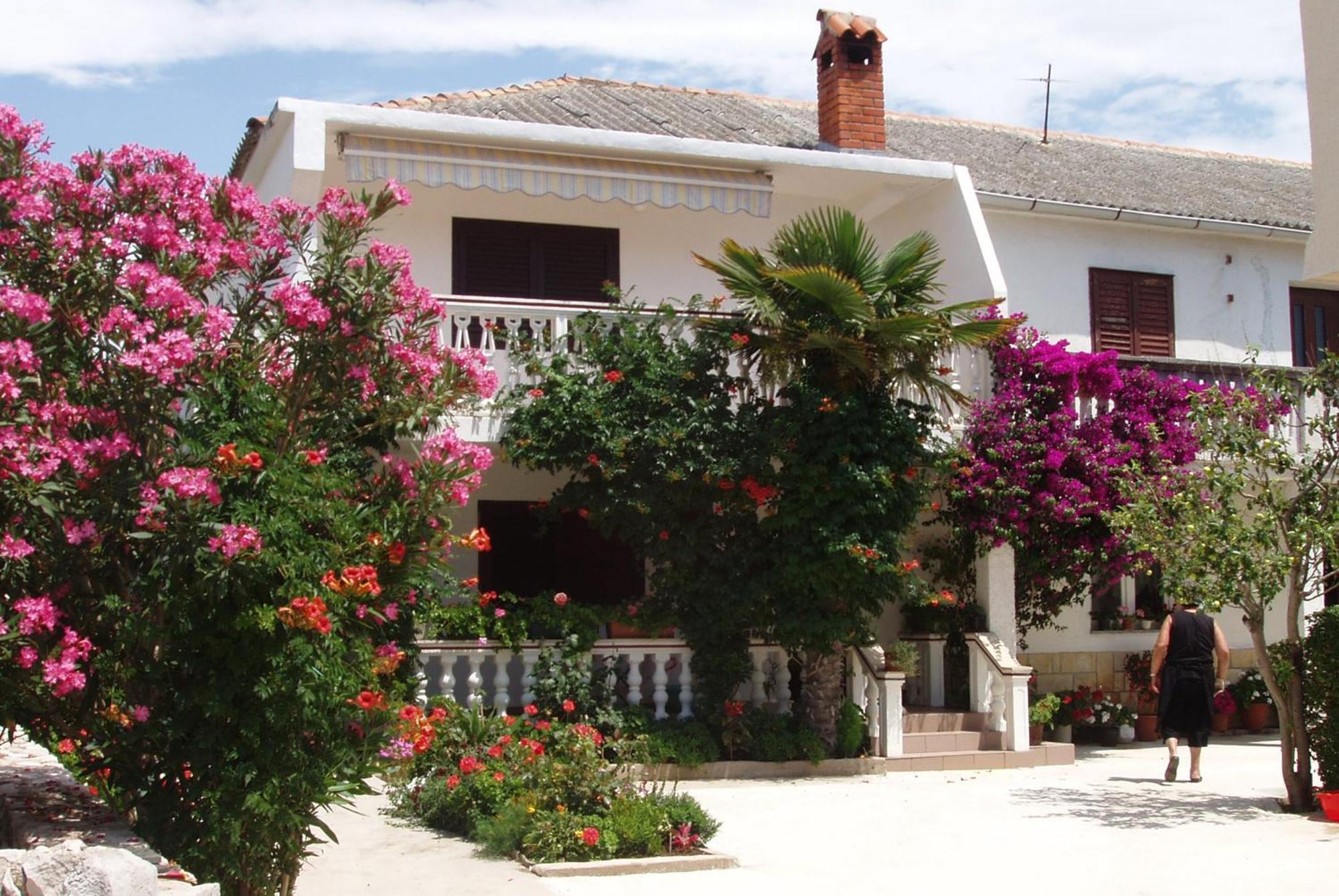 Apartments With A Parking Space Povljana, Pag - 228 Buitenkant foto